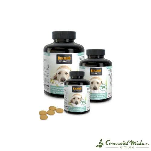 comercialmida480606