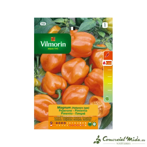 comercialmida489445