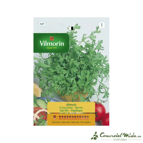 comercialmida490308