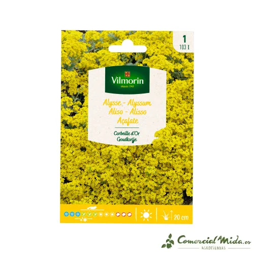 comercialmida491760