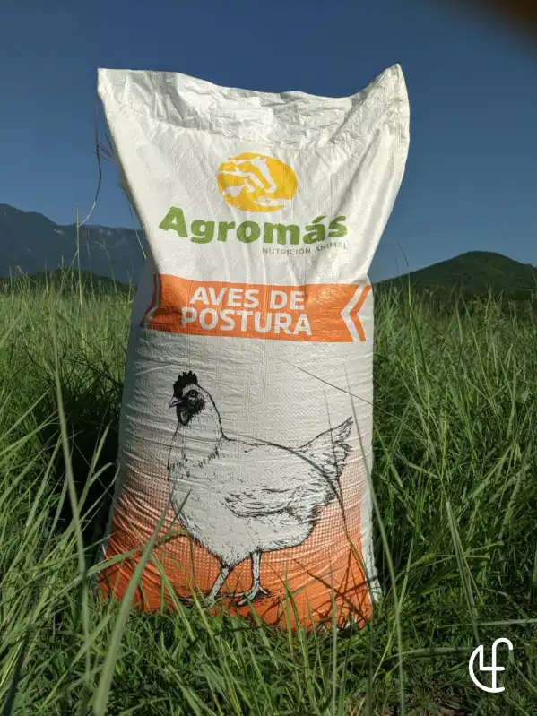 cosmeticosveganosmascotas-448118