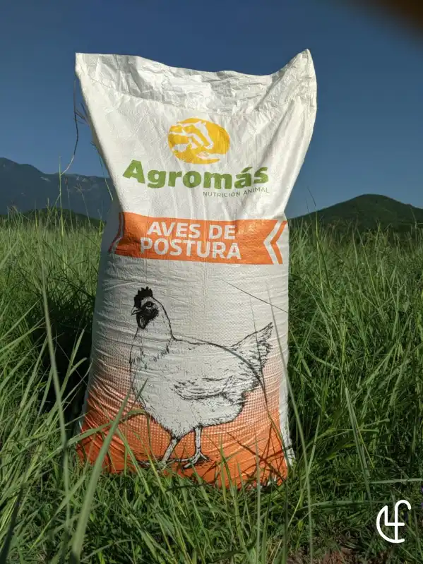 cosmeticosveganosmascotas-448141