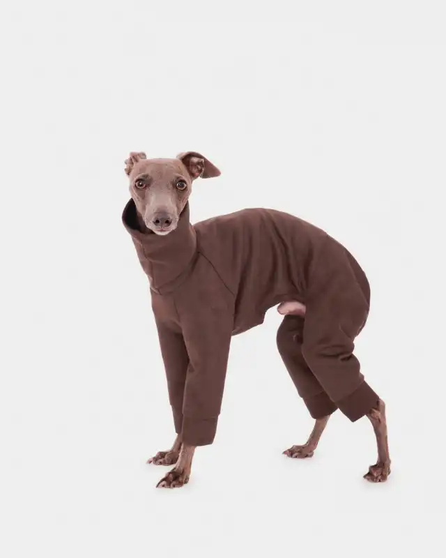 cosmeticosveganosmascotas-449722