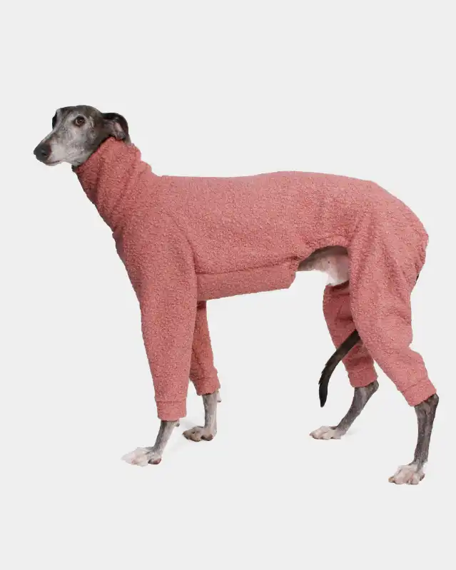 cosmeticosveganosmascotas-449764