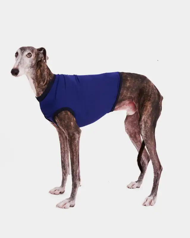 cosmeticosveganosmascotas-449784