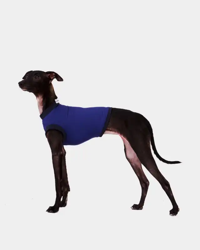 cosmeticosveganosmascotas-449800