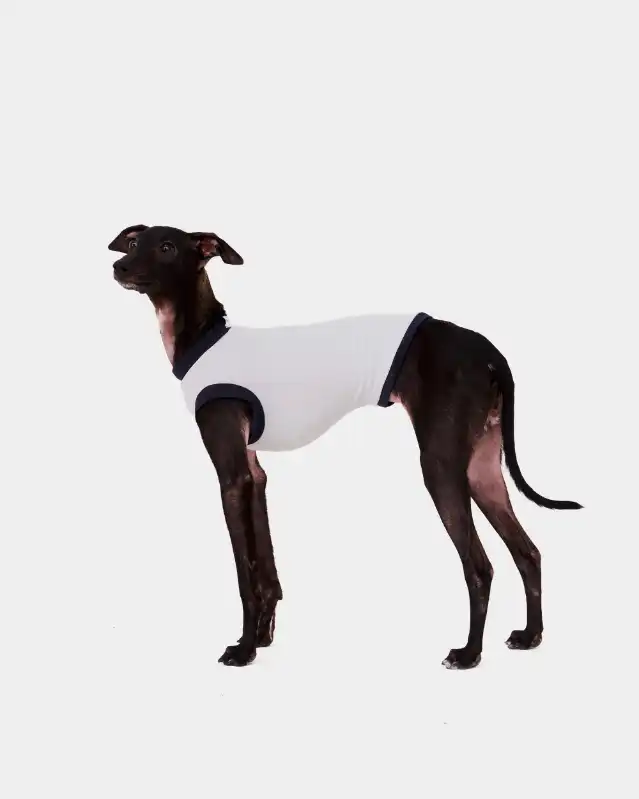 cosmeticosveganosmascotas-449805