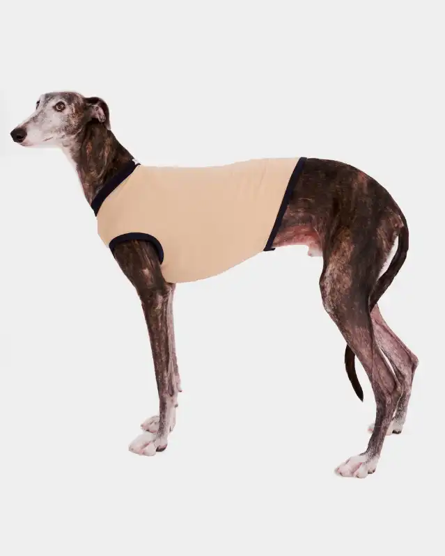 cosmeticosveganosmascotas-449842