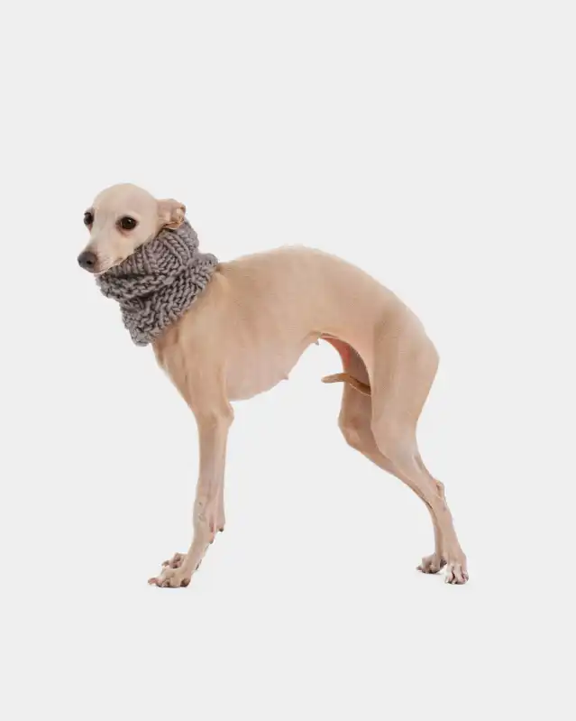 cosmeticosveganosmascotas-449864