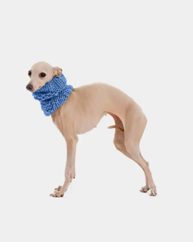 cosmeticosveganosmascotas-449878
