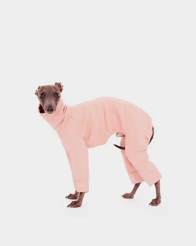 cosmeticosveganosmascotas-449896