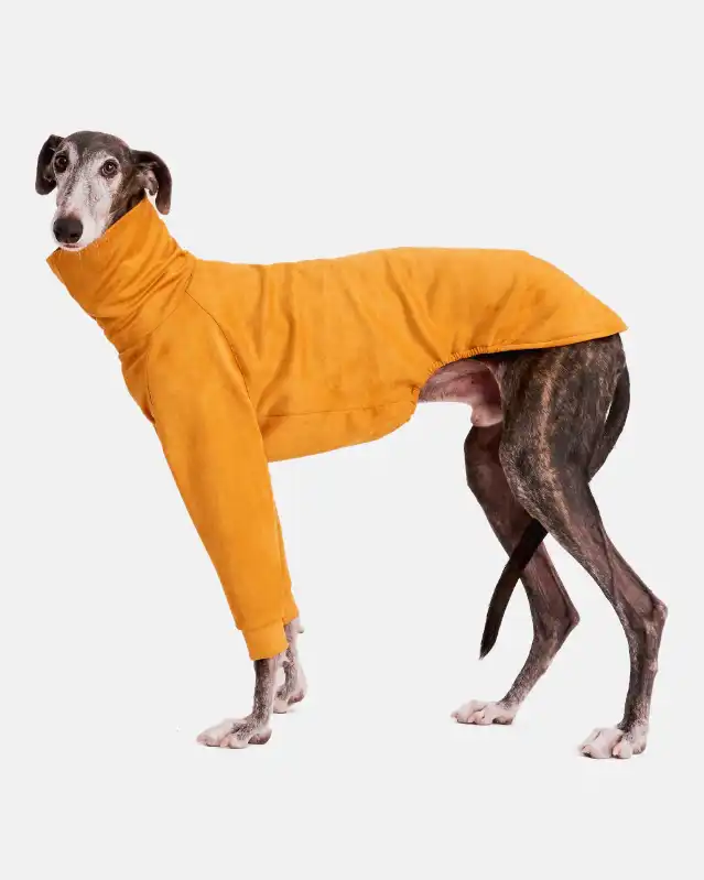 cosmeticosveganosmascotas-449903