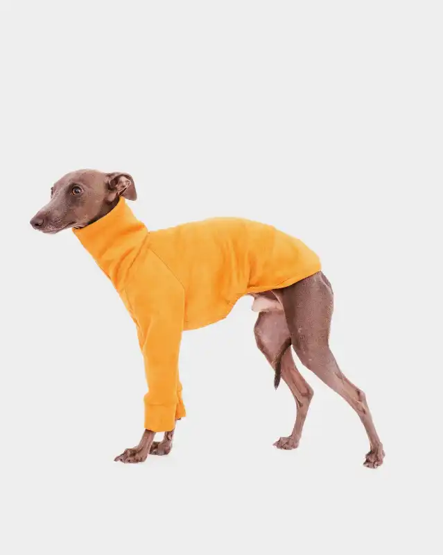 cosmeticosveganosmascotas-449913