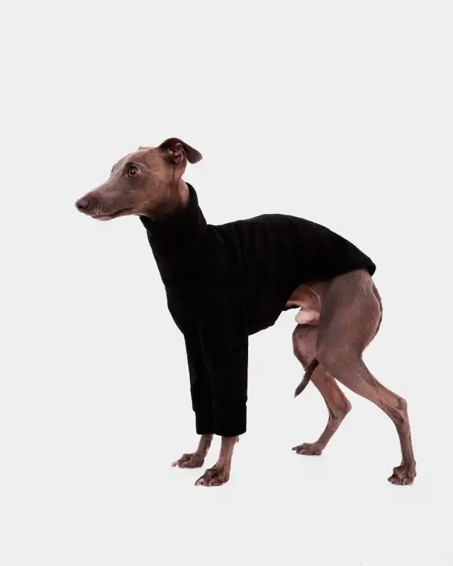 cosmeticosveganosmascotas-449921