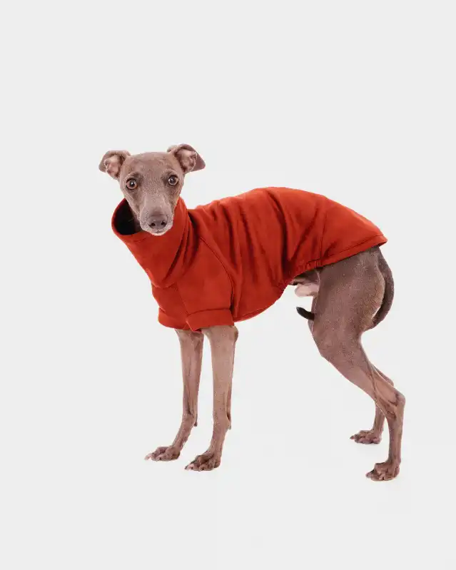 cosmeticosveganosmascotas-449930