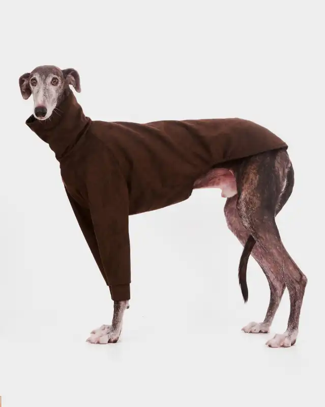 cosmeticosveganosmascotas-449934
