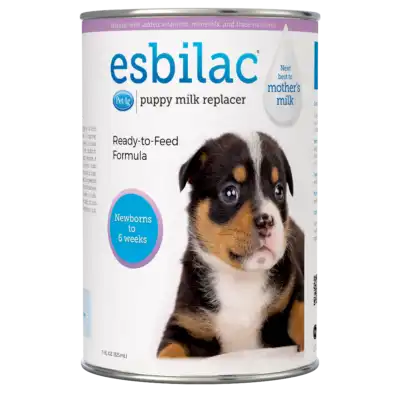 cosmeticosveganosmascotas-449962