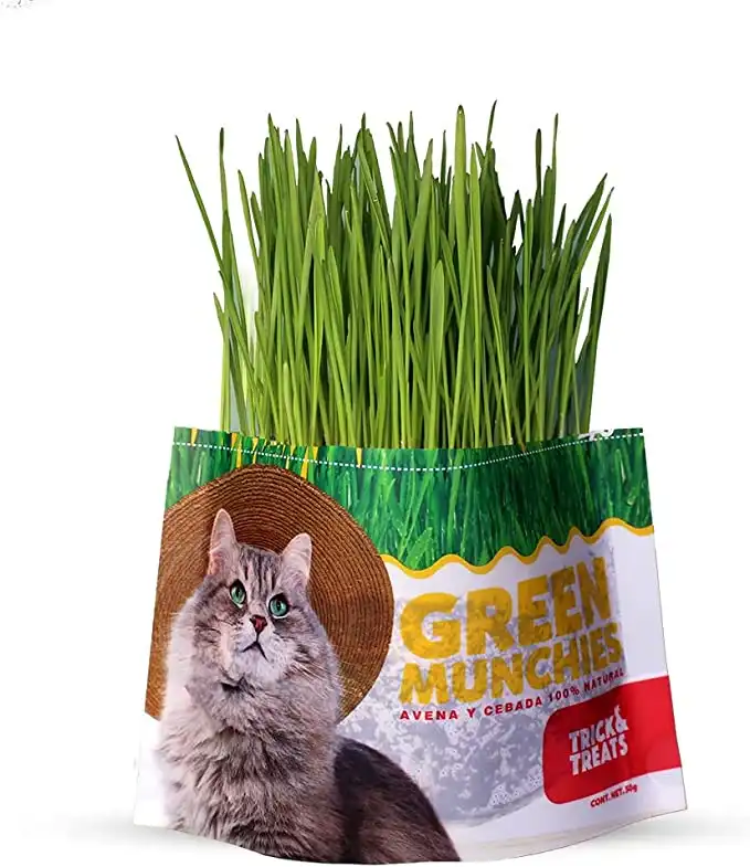cosmeticosveganosmascotas-450256