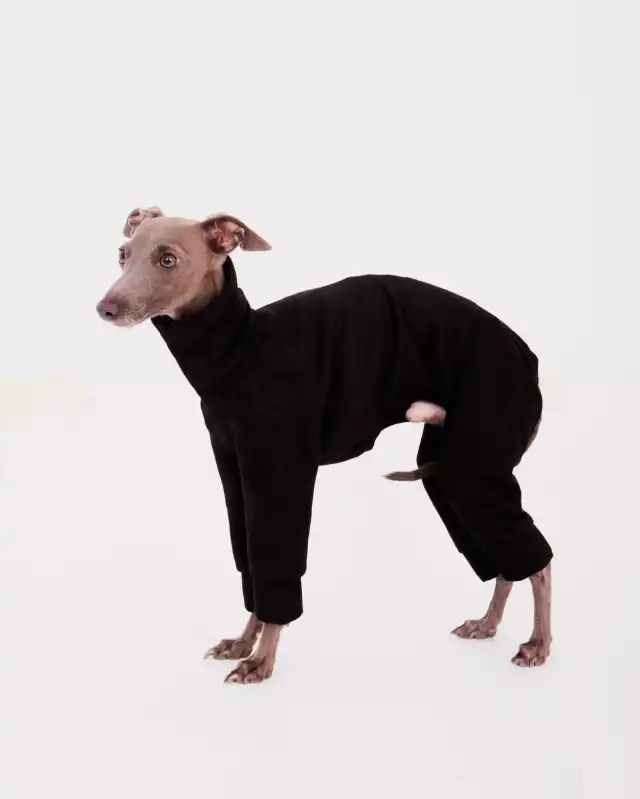 cosmeticosveganosmascotas-450595
