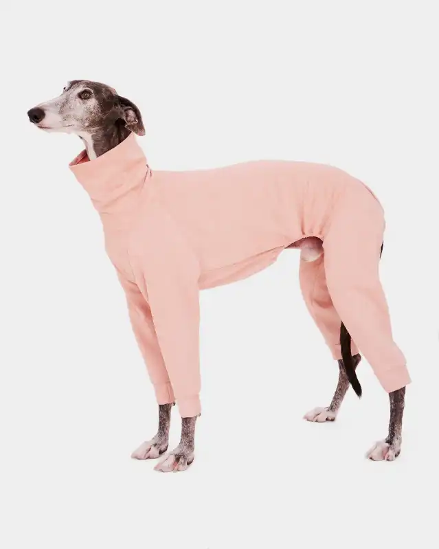 cosmeticosveganosmascotas-450598