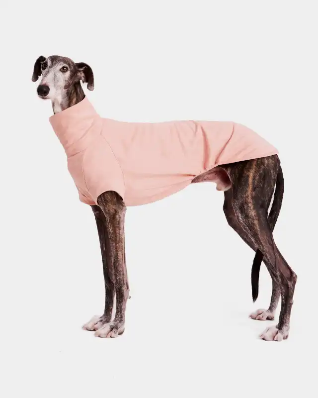 cosmeticosveganosmascotas-450600