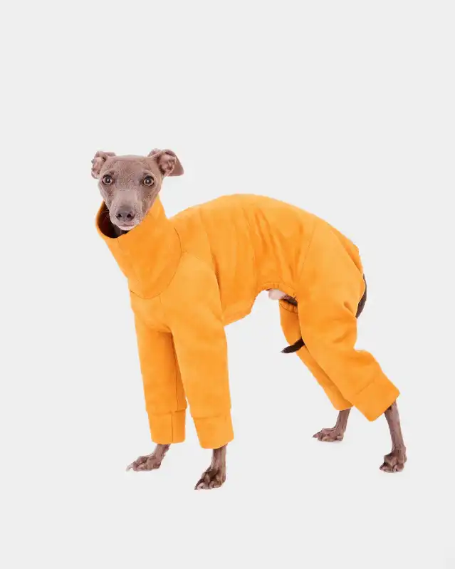 cosmeticosveganosmascotas-450607