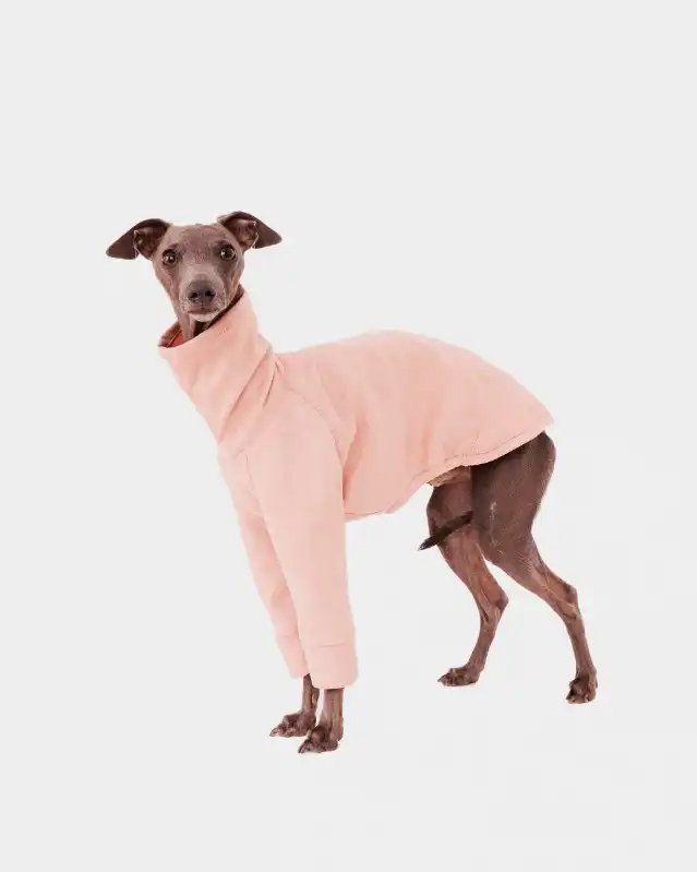 cosmeticosveganosmascotas-450609