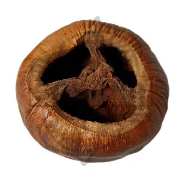 cosmeticosveganosmascotas-451178