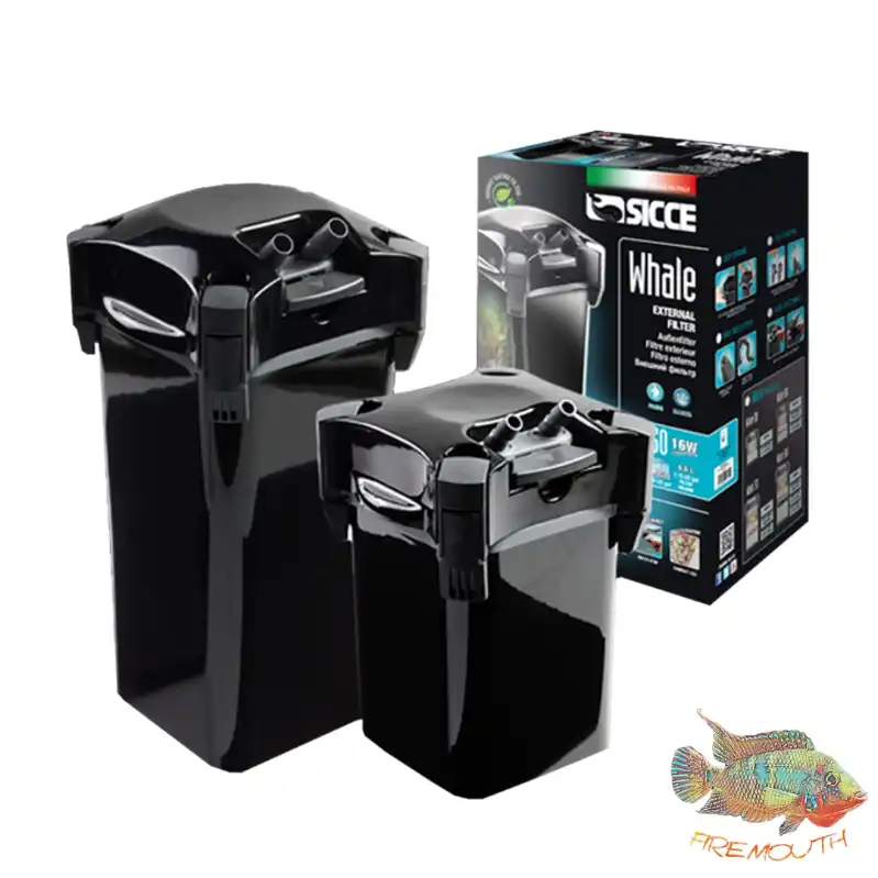 cosmeticosveganosmascotas-451703