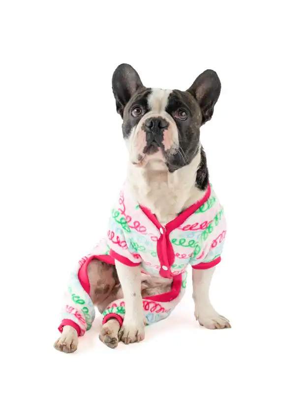 cosmeticosveganosmascotas-455152