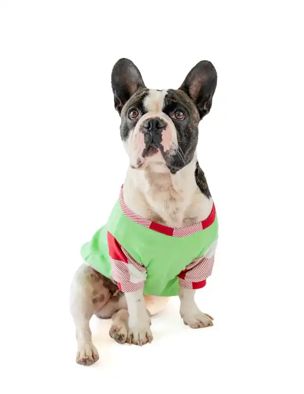 cosmeticosveganosmascotas-455180