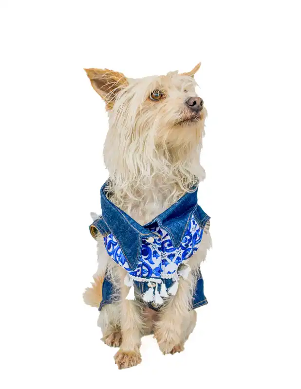 cosmeticosveganosmascotas-455220