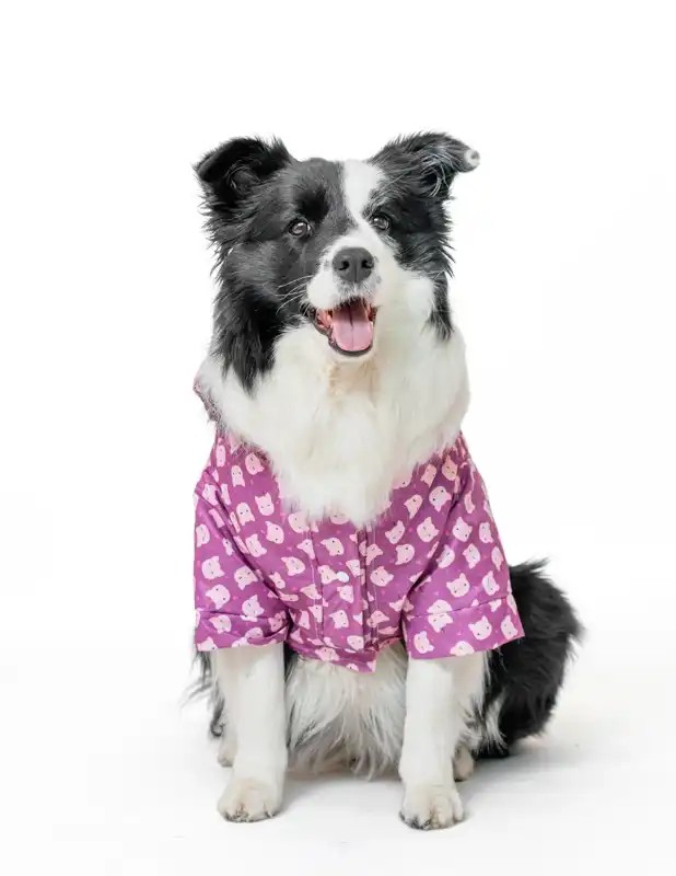 cosmeticosveganosmascotas-455250