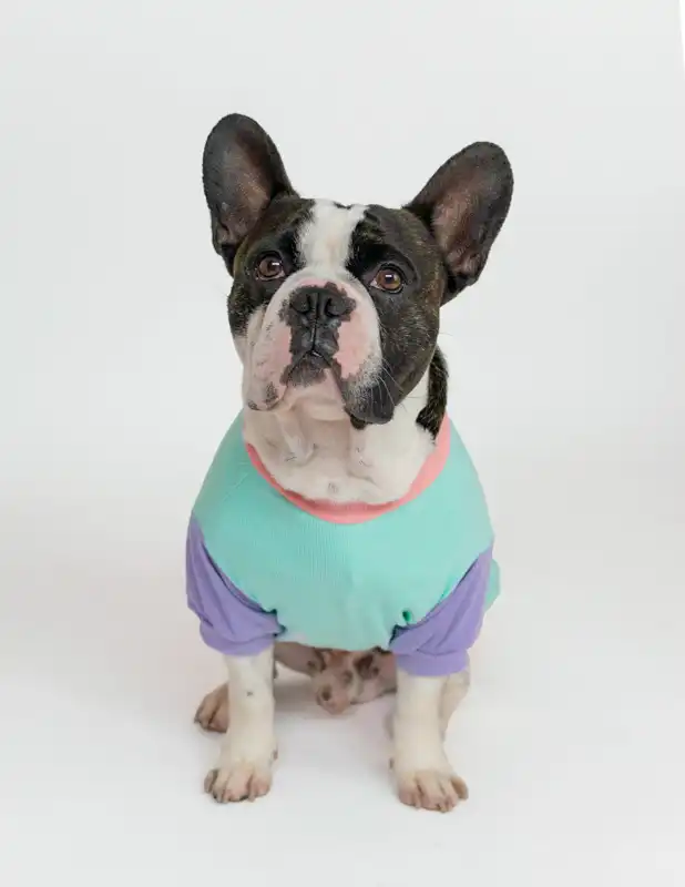 cosmeticosveganosmascotas-456181