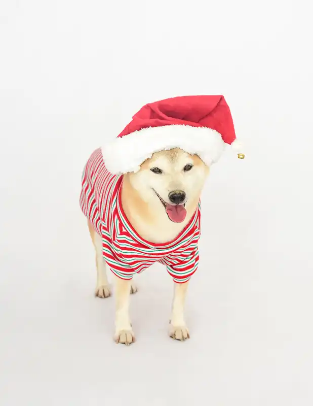 cosmeticosveganosmascotas-456291