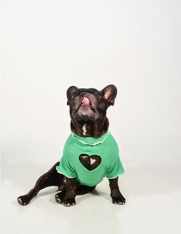cosmeticosveganosmascotas-456293
