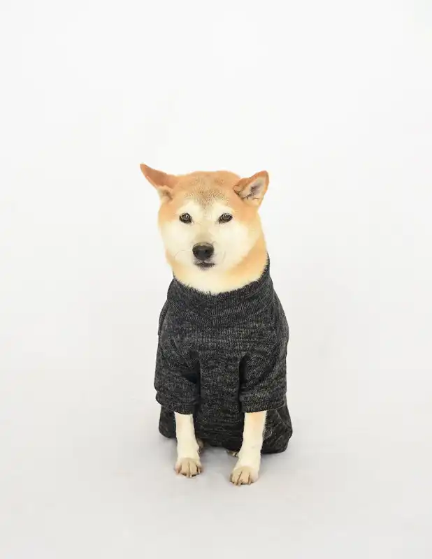 cosmeticosveganosmascotas-456306