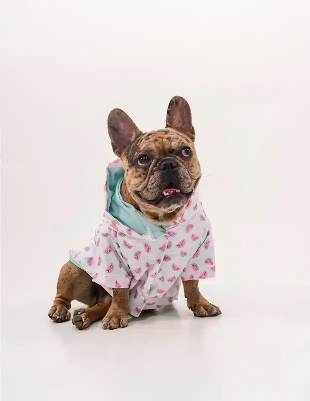 cosmeticosveganosmascotas-456307