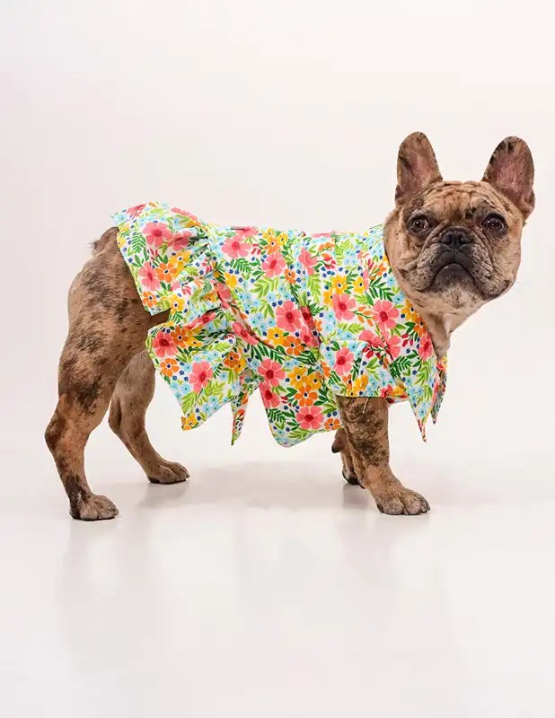 cosmeticosveganosmascotas-456339