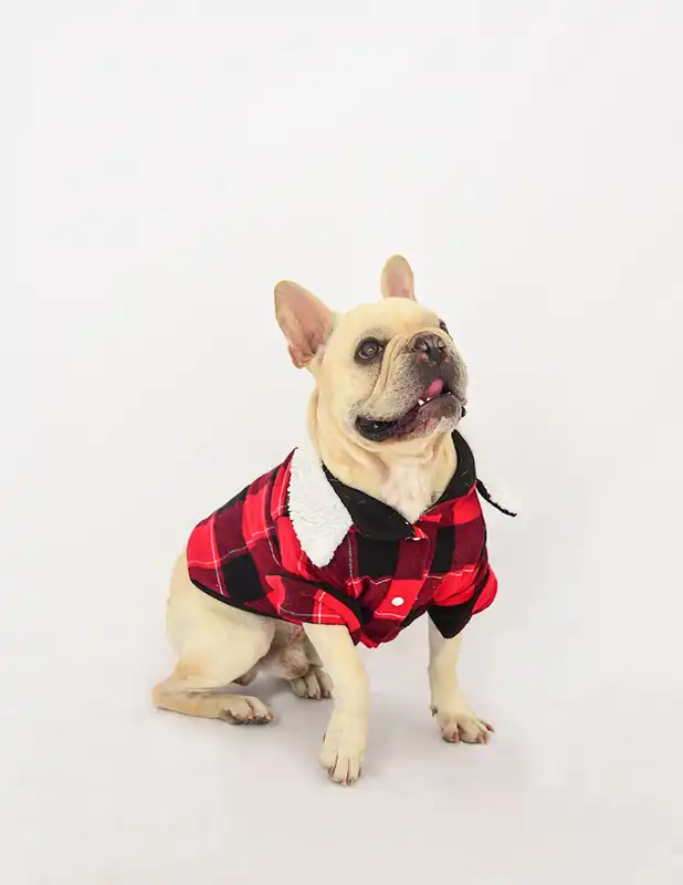 cosmeticosveganosmascotas-456350
