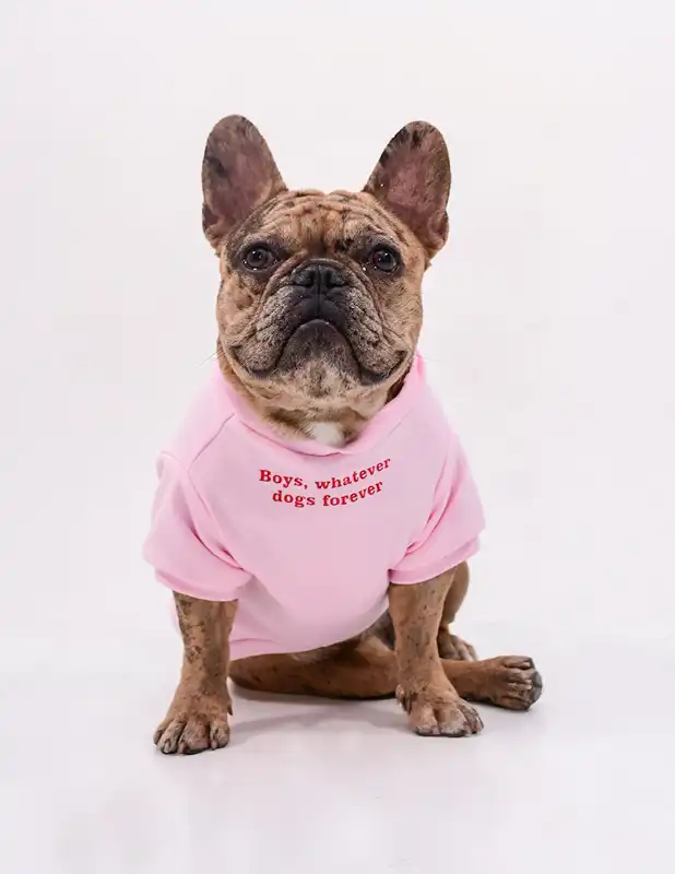 cosmeticosveganosmascotas-456380