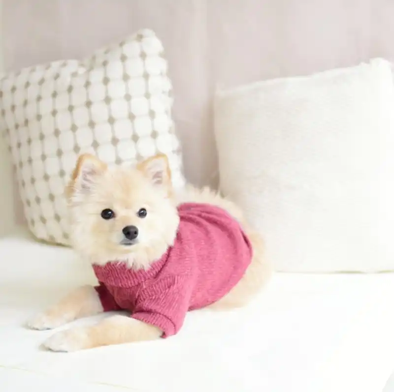 cosmeticosveganosmascotas-456422