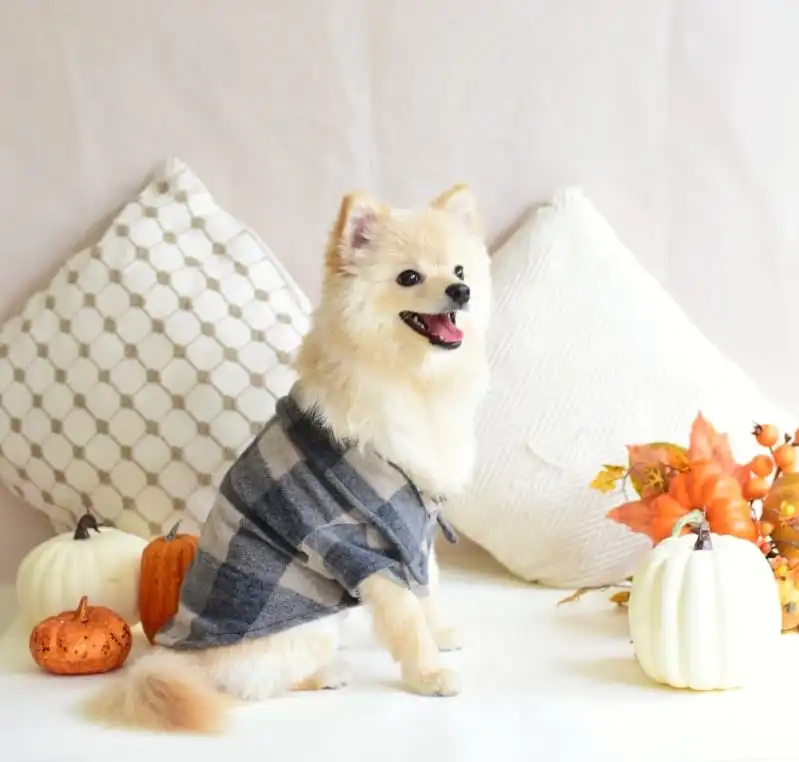 cosmeticosveganosmascotas-456447