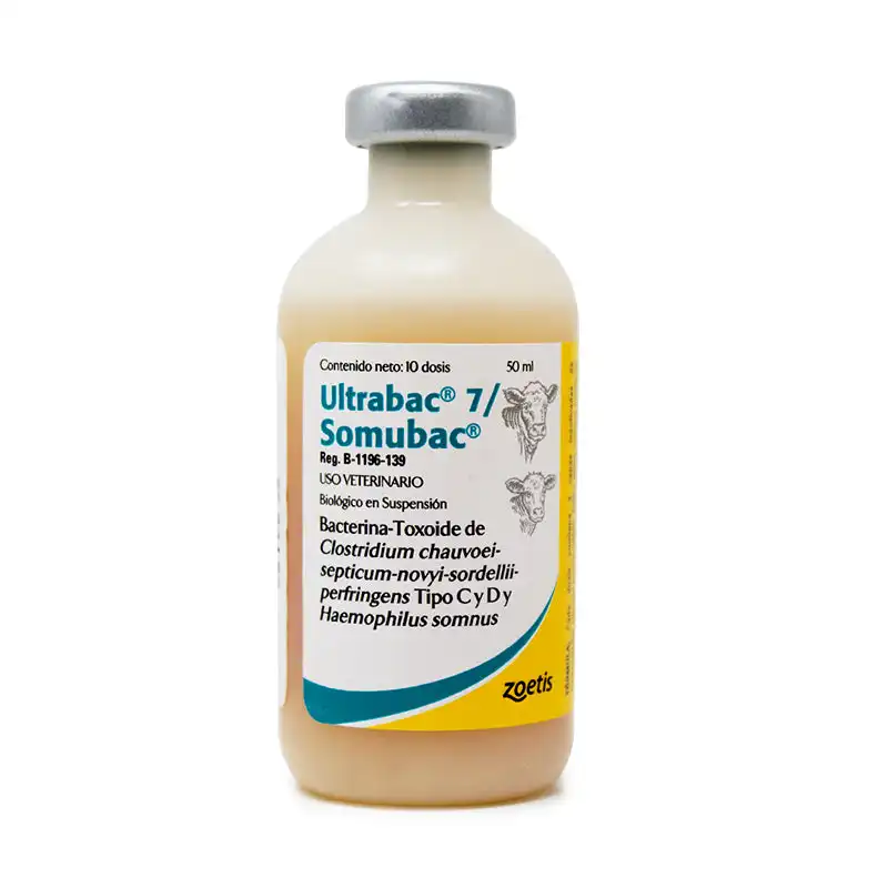 cosmeticosveganosmascotas-457017