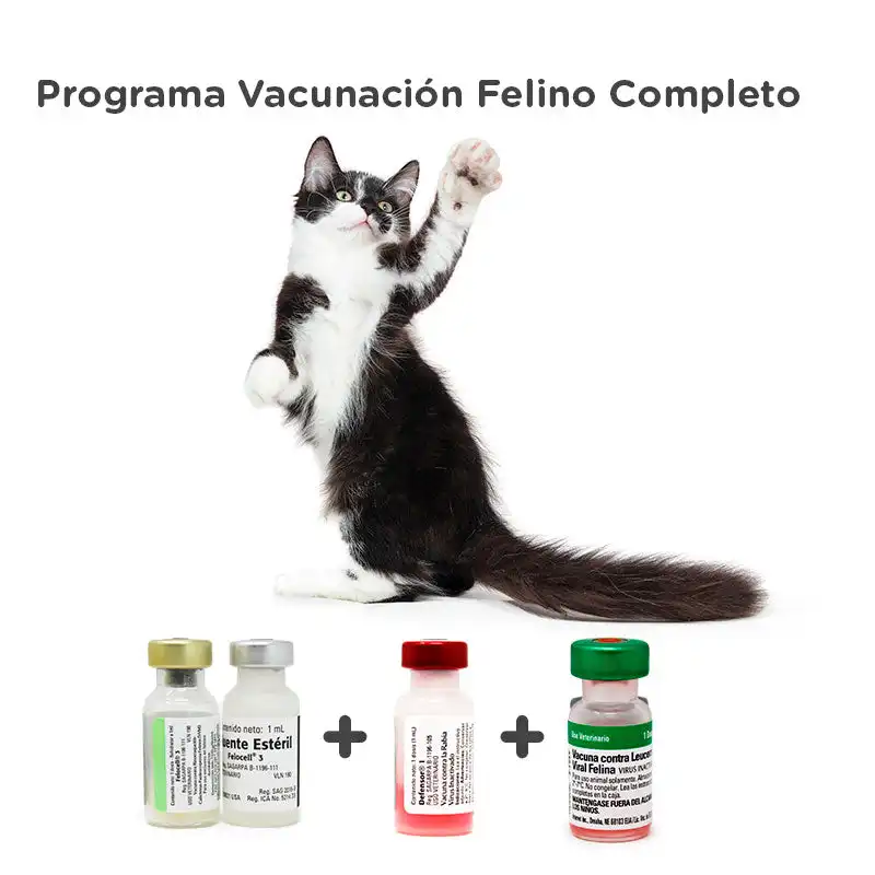 cosmeticosveganosmascotas-457069