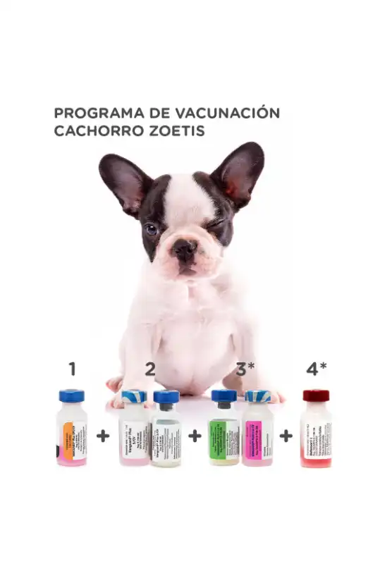 cosmeticosveganosmascotas-457434