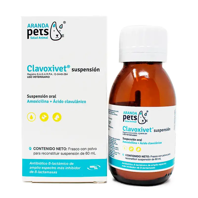 cosmeticosveganosmascotas-457840