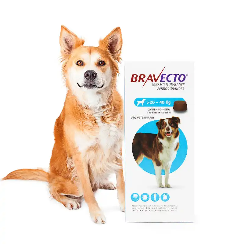 cosmeticosveganosmascotas-458089
