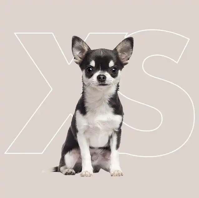 cosmeticosveganosmascotas-458799