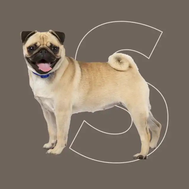 cosmeticosveganosmascotas-458895